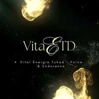 Vital Energie Tchad 